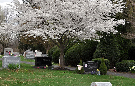 Greenwich
                                      Cemetery